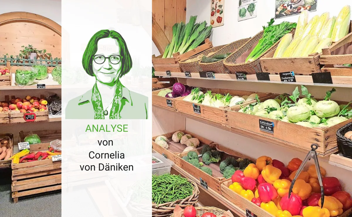 Artikel_Analyse_BauZ_vondaenikenHofladen Passen Hofläden noch zum heutigen Einkaufsverhalten?