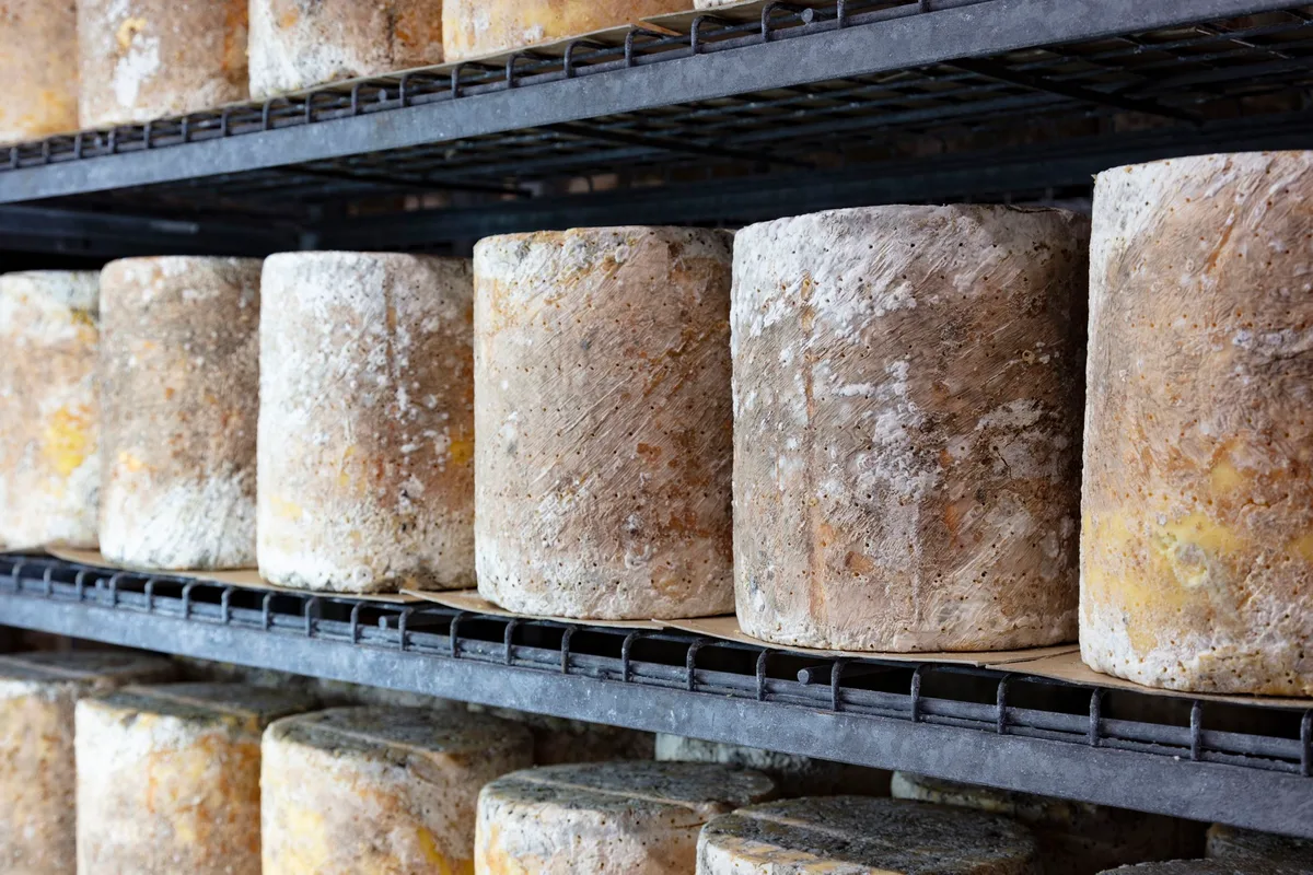 Stilton_Long-Clawson-Dairy Die Long Clawson Dairy produziert Schimmelkäse für die Festtage