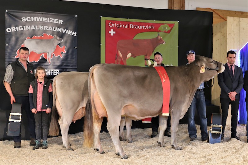 Die Miss Sorexpo Valido Livia (r) von Thomas Bucher aus Neuenkirch LU, siegte vor der Vorjahressiegerin Eldor Elena von Martin Schrepfer aus Wald, ZH. (Bild Reto Betschart)