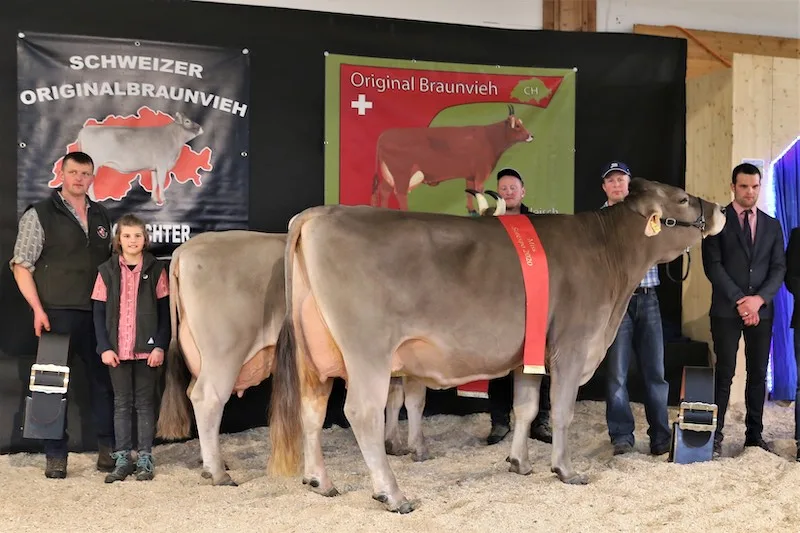ae50966584fbfd9c7fb93c2c986ee6a3ec746640 Die Miss Sorexpo Valido Livia (r) von Thomas Bucher aus Neuenkirch LU, siegte vor der Vorjahressiegerin Eldor Elena von Martin Schrepfer aus Wald, ZH. (Bild Reto Betschart)
