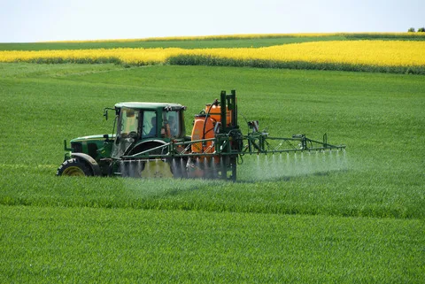 Chlorothalonil wurde im Getreide-, Gemüse-, Wein- und Zierpflanzenbau eingesetzt. (Symbolbild Fotolia)