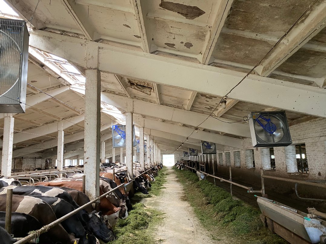 «Es ist ein Albtraum»: Schweizer Milchbetrieb in der Ukraine ringt mit den Folgen des Kriegs