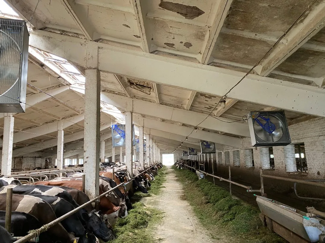 ukraine_topbild «Es ist ein Albtraum»: Schweizer Milchbetrieb in der Ukraine ringt mit den Folgen des Kriegs