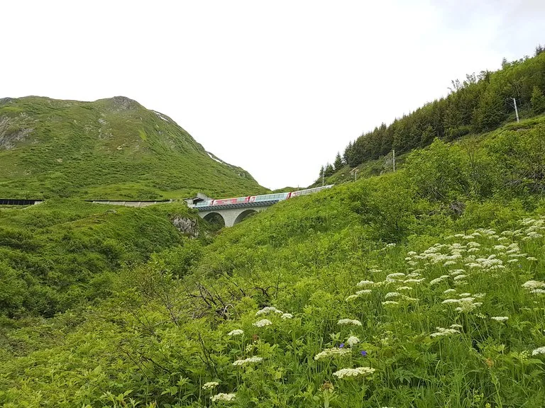 bc5bda379f07d59b3cc271f55f119fdd70e9b839 Die Verbuschung beeinträchtig die Biodiversität. (Bild lid/ji)