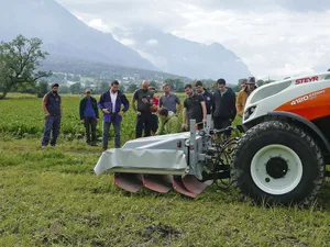 Mit Hilfe eines Generators wird Gleichstrom auf die Pflanzen appliziert. Das Verfahren hat dieselbe Wirkung wie ein Totalherbizid.