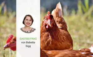 Babette Sigg ist Präsidentin des Schweizerischen Konsumentenforums.
