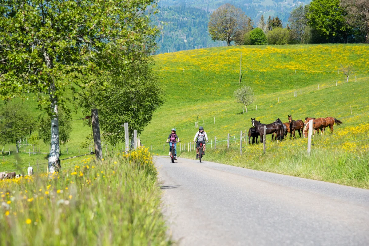 e5185b8d079cfaaa6d7da7cef4df4b75bde375cc Auf eine Schatzsuche mit dem E-Bike lädt die Biosphäre Entlebuch mit einem neuen Projekt ein. (Bild zVg)