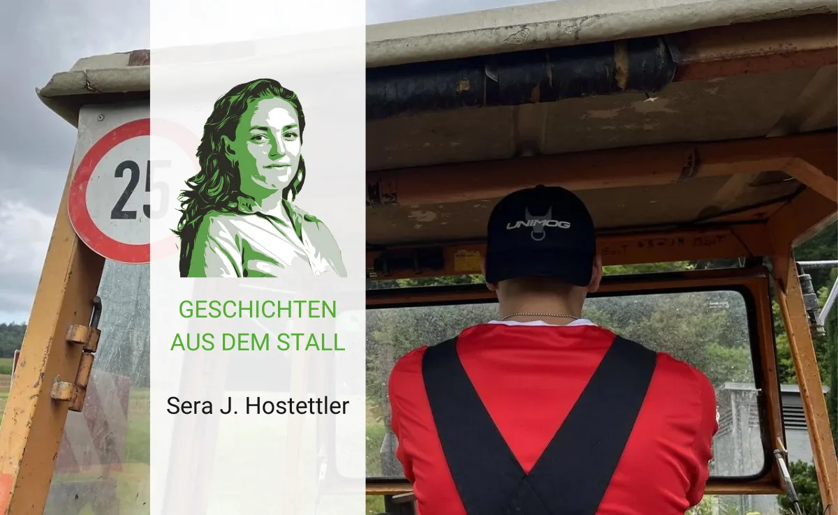 Stall3 Praktiker finden für alles eine Lösung