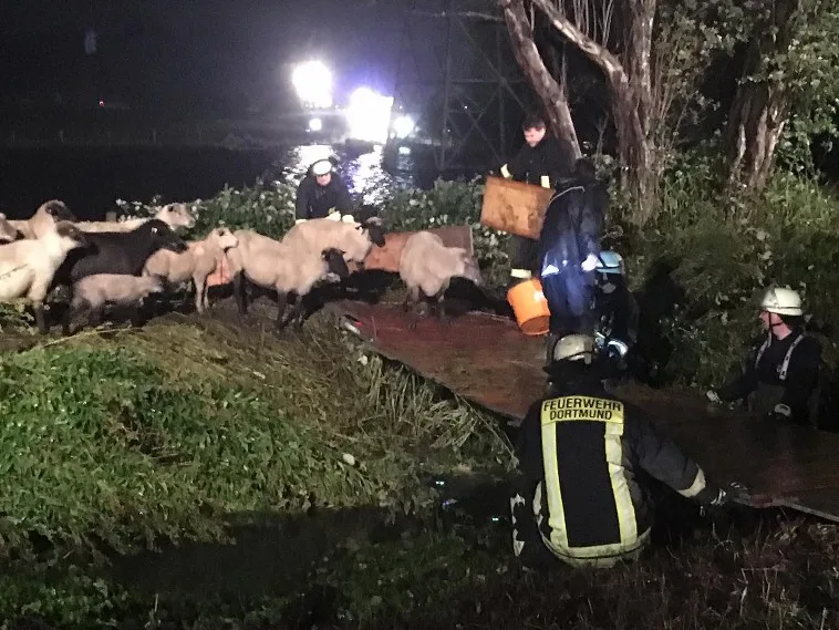 9b3f103fc5c2bde263e1e2a30b2b66267082990c Es war auch die Spezialeinheit Wasserrettung beteiligt. (Bild Feuerwehr Dortmund)