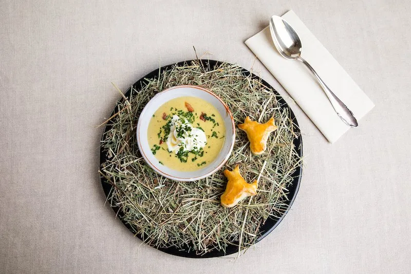 b97c244b0d672610fac29ea5d071b0cdef96b57e Zucchini-Paprika-Käse-Suppe. (Bild SRF/ Ueli Christoffel)