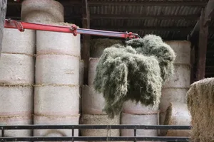 Genügend eigene Grundfuttervorräte zu haben, verschafft Transparenz über die Futterqualität und ermöglicht die Kontrolle unerwünschter Unkrautsamen.