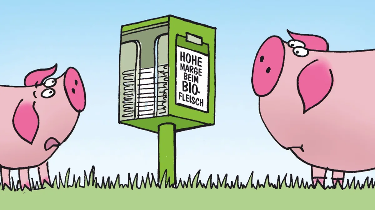 Wieso sind Bioprodukte im Detailhandel teurer, obwohl die Landwirte nur einen Bruchteil der Mehreinnahmen bekommen? Cartoon: Marco Ratschiller/Karma