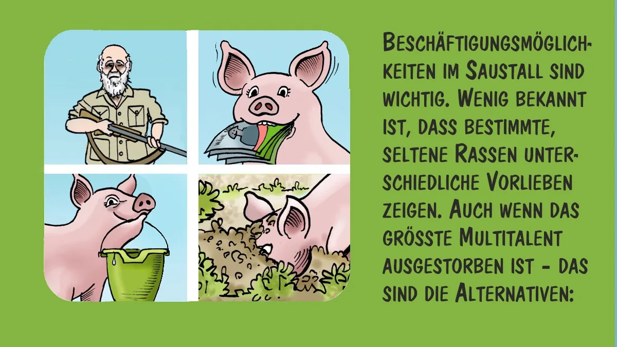 DG-26-08-cartoon-1-ratschiller.jpg