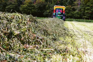 Ernteverfahren sollten optimal aufeinander abgestimmt sein, um Produktionsaufwand und Arbeitsbelastung zu reduzieren.(Bild BauZ)