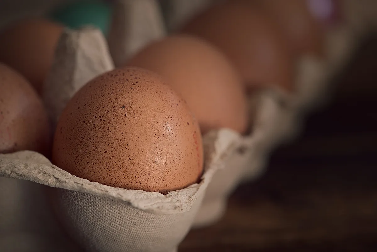 97e6a04bc745012cb9c6d325f1d8f53f42620e92 Aktuell besteht in der Schweiz Unsicherheit beim Verpackungsmaterial für Eier, da die Kapazitätsengpässe bei den wichtigsten Herstellern laut Gallo Suisse noch nicht gelöst sind. (Bild Pixabay)