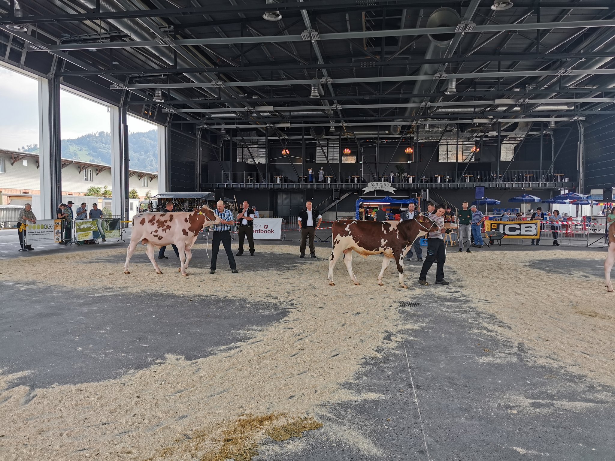 Swisscow und Zuchtstiermarkt Bulle verlangen Covid-19-Zertifikat