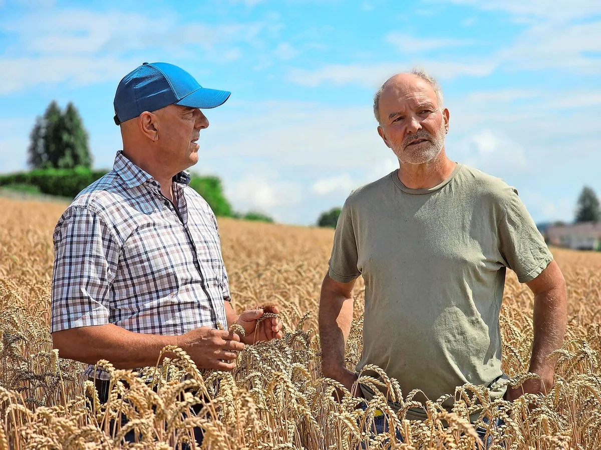 040c586a785249f17634efabe7509d848b9f990ea7292f68ddabd3a1d8c299d6 Lukas Kilcher (links) und Alfred Schädeli im Bio-Weizen. Wir haben die beiden zum Austausch – mit Blick in die Zukunft – getroffen.