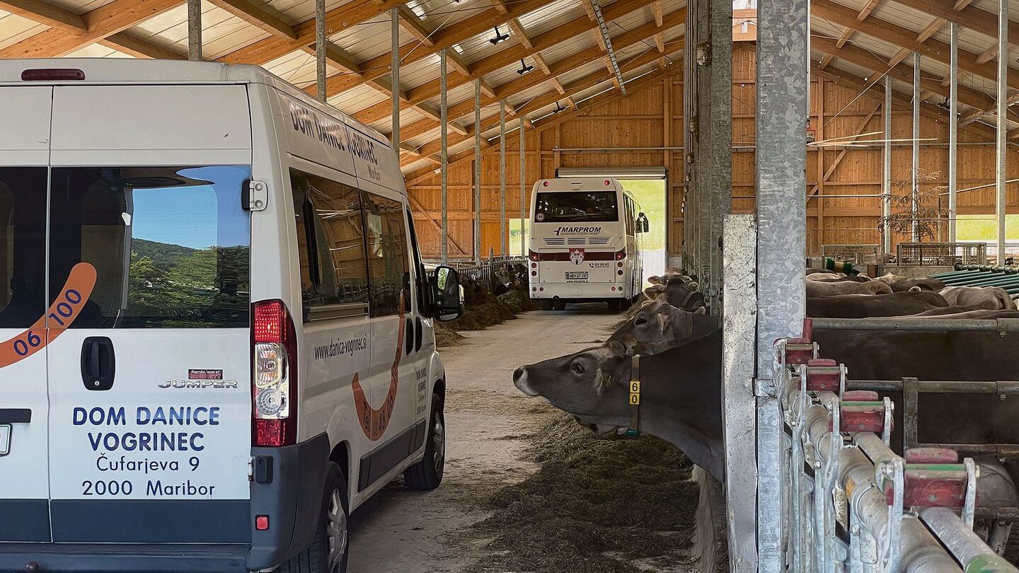 Eine Sonderanfertigung der Eingangstore war nötig, damit die Reisecars durchs Tenn fahren können. Bei der Stallarbeit am Morgen plötzlich von einer Gruppe Touristen überrascht zu werden, ist nicht ungewöhnlich.
