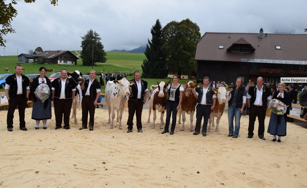 8. Regionalschau in Riffenmatt - mit 150 Kühen und mehr