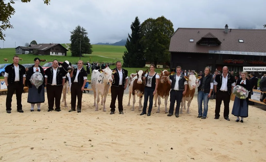 DSC_983 8. Regionalschau in Riffenmatt - mit 150 Kühen und mehr