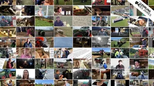 Wir sagen danke für über 80 Bewerbungen von euch! (Bild: Compositing BauZ)