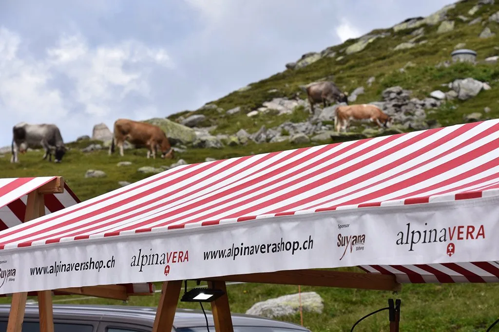 veranstaltung_gotthardpass Alpinavera Passmarkt auf dem Gotthard findet nicht statt