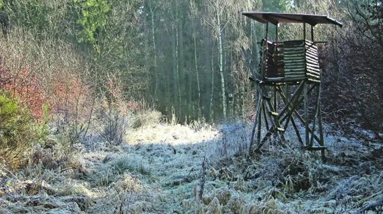670319f914963b67f36da66d327c2fda5317babc Die Kompetenzverschiebung zu den Kantonen verkürze die Entscheidungswege und erhöhe die Wirksamkeit der Regulierungsmöglichkeiten von schadenstiftenden Tieren, heisst es in einer Mitteilung des Vereins Lebensraum Schweiz ohne Grossraubtiere. (Bild Pixelio)