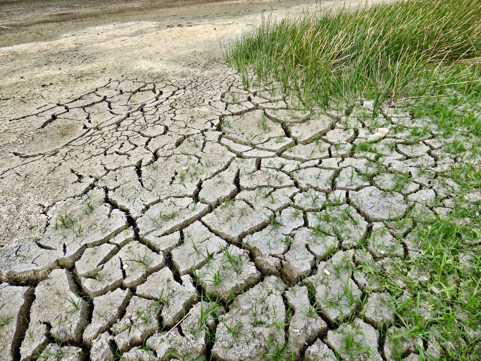 Neun von zehn Schweizern nehmen Klimaveränderungen wahr