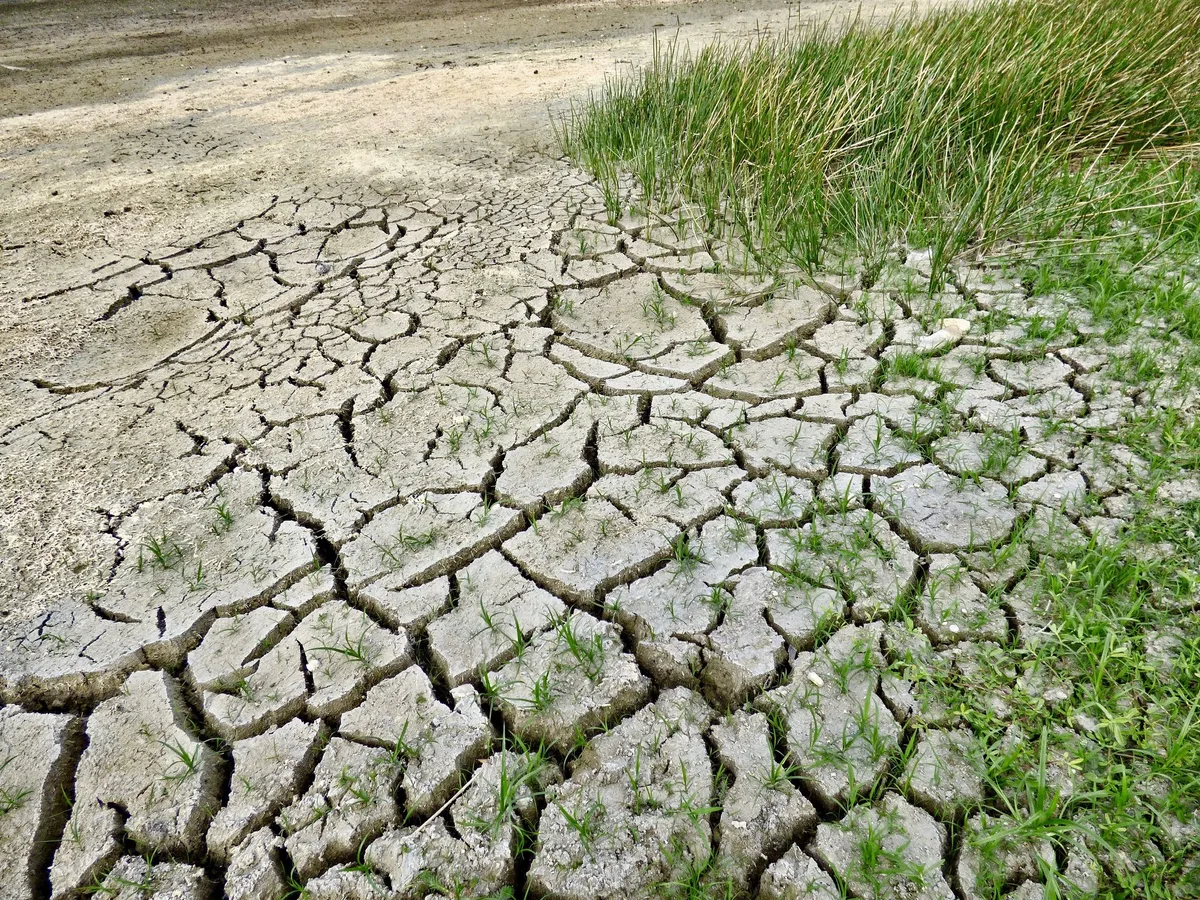 climate-change-2241061 Neun von zehn Schweizern nehmen Klimaveränderungen wahr