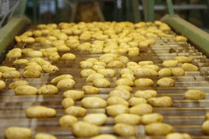 Sollen bei jüngeren mehr Anklang finden: Kartoffeln.