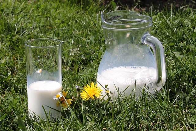 6a098d268f752a96e40a2bb8fd2316dbaebd627d Mit Frischgras lässt sich Milch laut Agroscope einen Viertel bis einen Drittel günstiger produzieren. (Bild Pixabay)