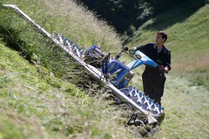 Silvan Erni beherrscht den Einachsmäher auch im steilsten Gelände. Bild: Beat Schmid