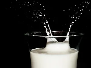 Die SMP überwacht die Veränderungen auf dem Milchmarkt. (Symbolbild Pixabay)