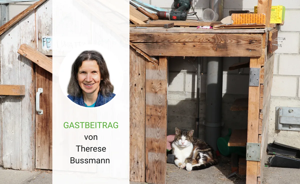 Artikel_Gastbeitrag_BauZ_BussmannKatze Wenn sich die Katzen verabschieden