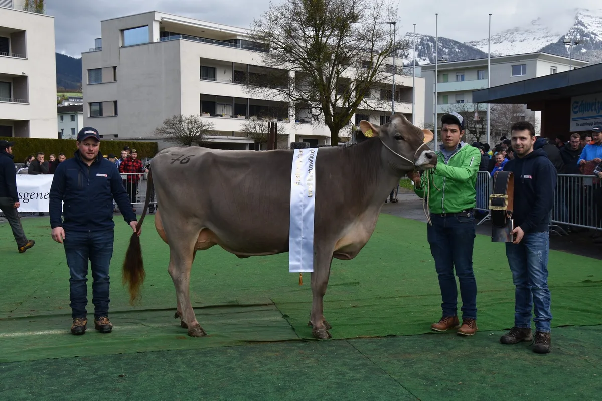OS_13_A_Rindershow_Alenka Pete Alenka ist die neue Erstmelk-Champion