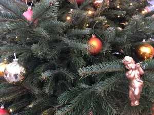 Statt Weihnachen im Wald zu feiern, empfehlen die Christbaumproduzenten breite Tannen zu kaufen. Das sorge auch für Abstand. (Symbolbild et)