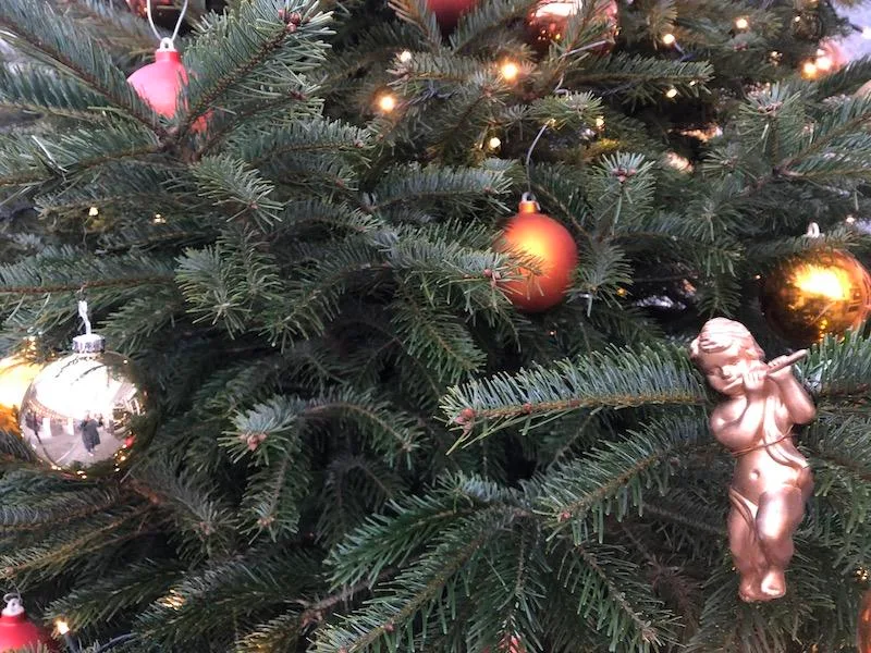 4f9ad0a0f13065fca651ee2a2b1c21736ae3c053 Statt Weihnachen im Wald zu feiern, empfehlen die Christbaumproduzenten breite Tannen zu kaufen. Das sorge auch für Abstand. (Symbolbild et)