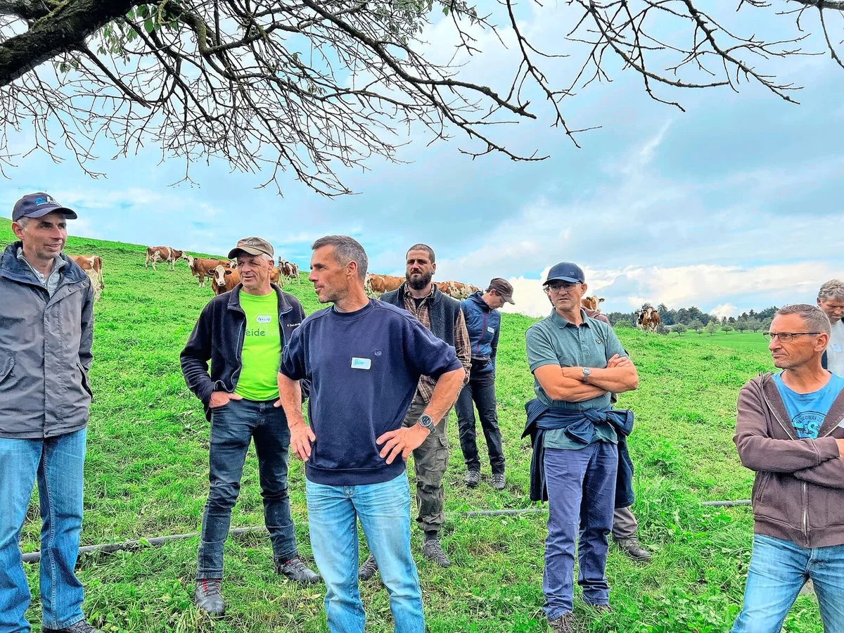 Peter Heller (im blauen Pullover) zeigte seinen Weidemilch-Kollegen die Weiden auf dem Betrieb Hinter-Oberberg in Willisau LU.