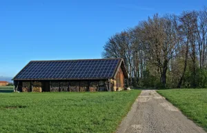 Wer mit Holz heizt, spart derzeit Geld.