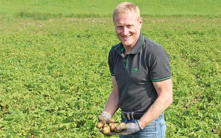 Nach dem Verbot von Reglone im Kartoffelanbau: Zurück zum Krautschlegel