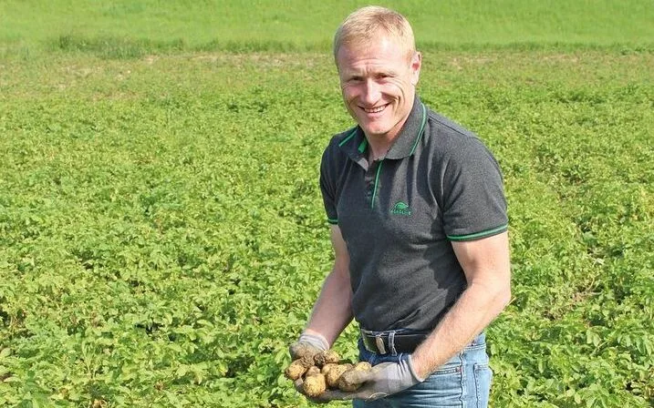 Nach dem Verbot von Reglone im Kartoffelanbau: Zurück zum Krautschlegel