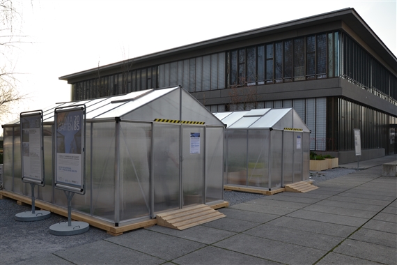 Auf dem Areal der Hochschule für Technik in Rapperswil stehen zwei Gewächshäuser, in denen man zwei verschiedene Klimaszenarien für das Jahr 2085 erleben kann. (Bilder jsc)