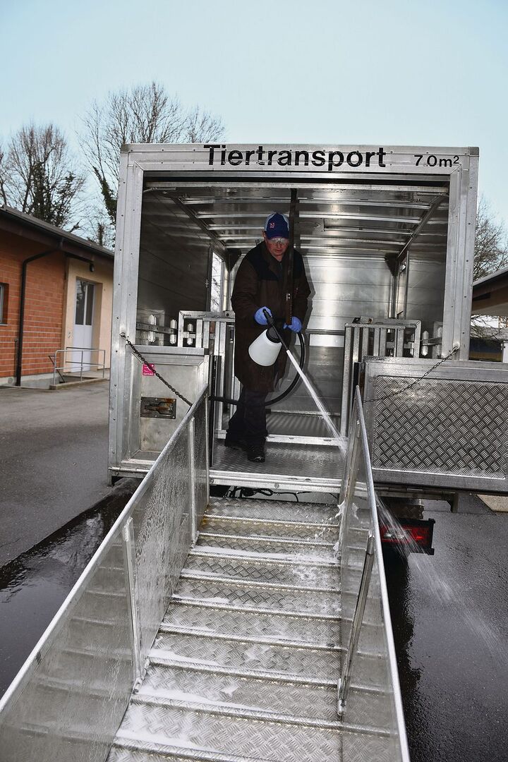 Gehört dazu: Sauberes, und falls notwendig, wie hier im Bild bei der MLP in Sempach, desinfiziertes Transportfahrzeug.
