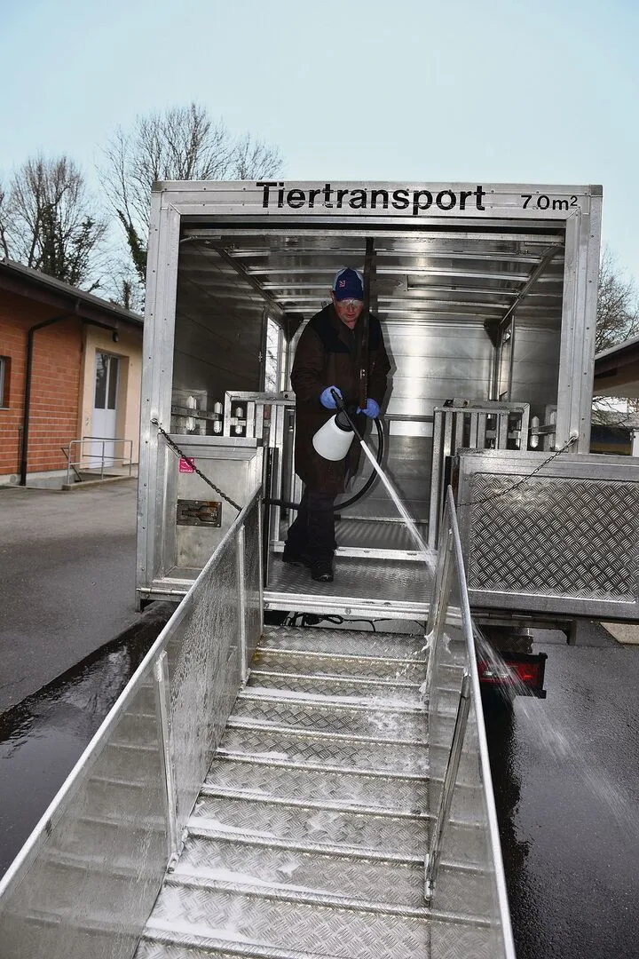 de17a52d2ff8393be8ce3eec77968ffe9dce98b33ebe9b1add1829aec19d0de7 Gehört dazu: Sauberes, und falls notwendig, wie hier im Bild bei der MLP in Sempach, desinfiziertes Transportfahrzeug.