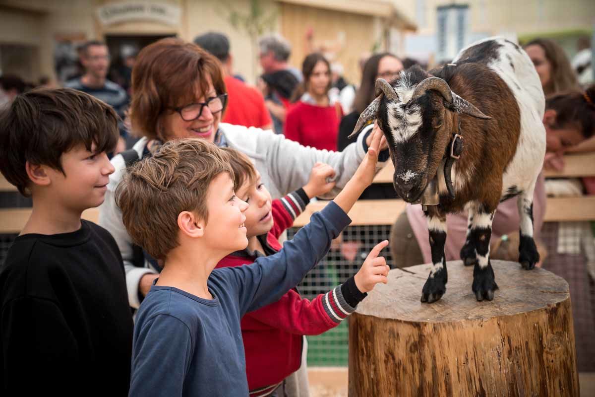 Ob auch in diesem Jahr noch eine Olma in St.Gallen durchgeführt werden kann, ist noch unbekannt. (Bild olma-messen.ch)