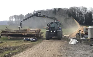 Die im Winter gefällten Baumstämme werden zu Schnitzeln verarbeitet.