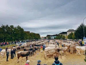 Viehschauen, hier die Grossviehschau Appenzell 2019, sind auch ein Ort des Zusammenkommens und des Austausches.