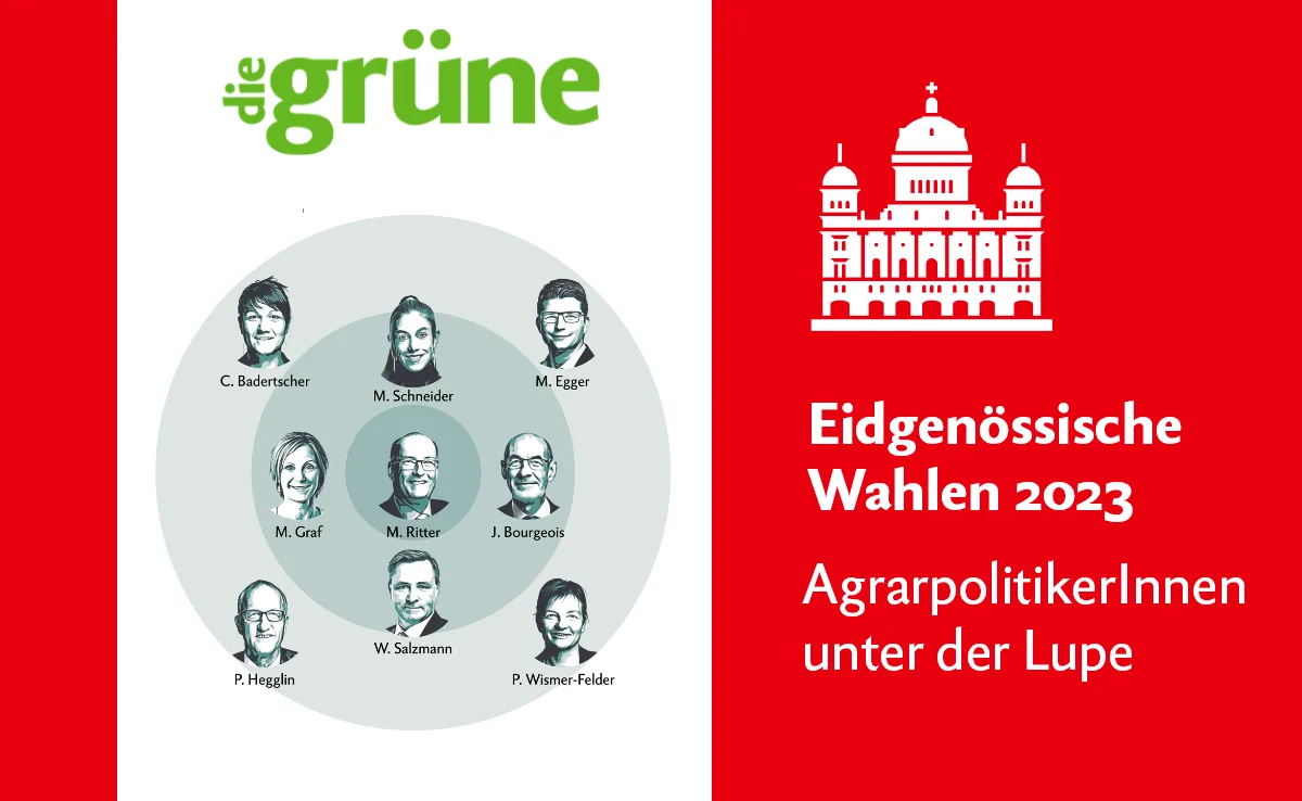 DG_Eidg_Wahlen Spezialangebot: Vor den Eidgenössischen Wahlen kostenlos zwei Hefte von «die grüne» lesen