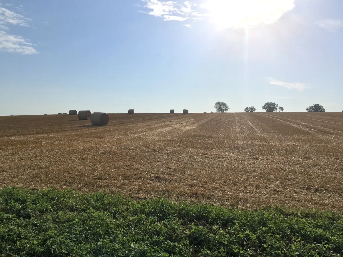 BZ-AKT3-Direktzahlungen «Direktzahlungen reduzieren den Wert landwirtschaftlicher Arbeit»