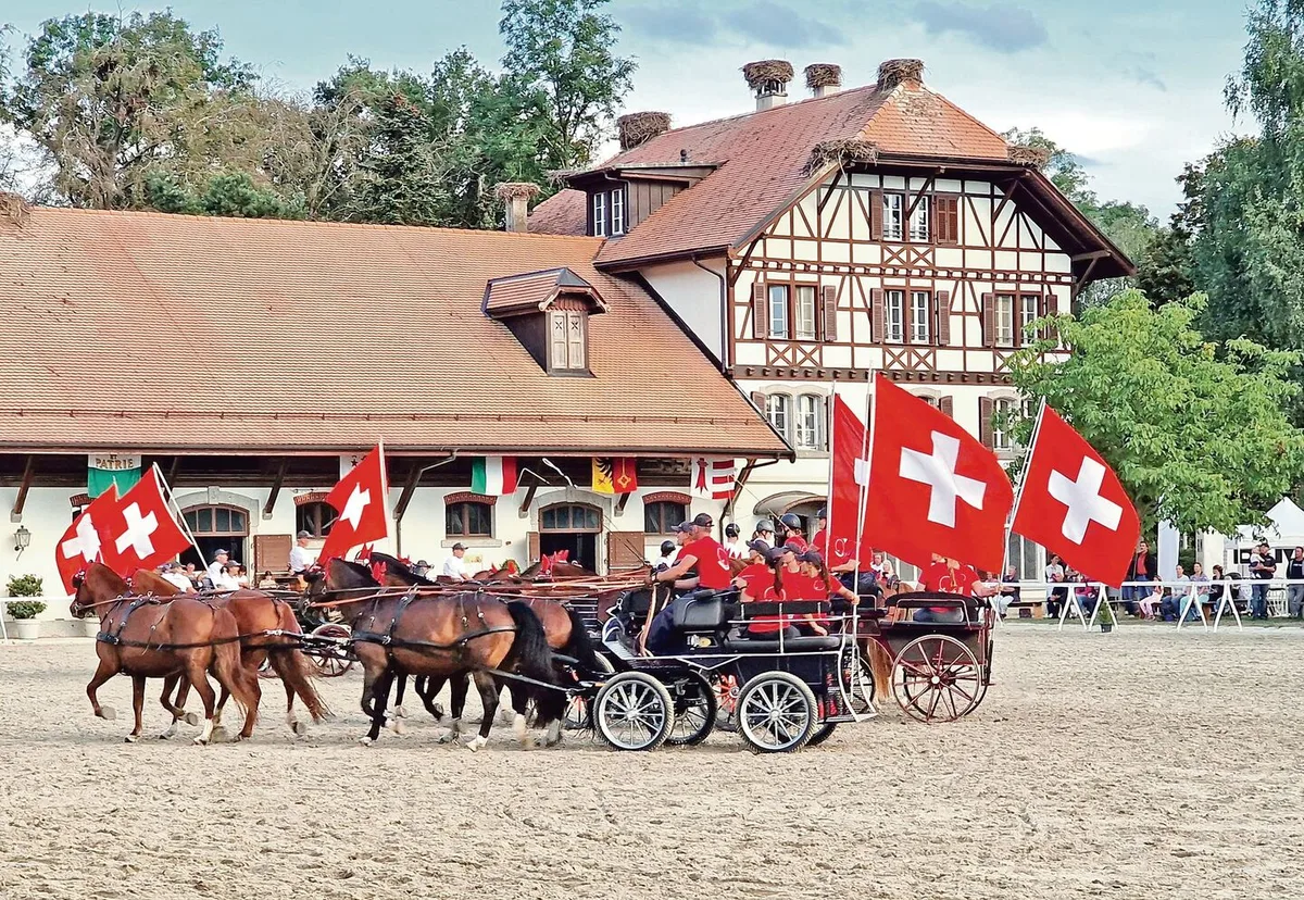 87a30f1b7d82b8a9d8c5cc62ec2969b670dfdd9a2525eb50ea4626b2d3de3e95 Die Pferdezuchtgenossenschaft Falkenstein hievt die Fahnen für die Freibergerpferde.